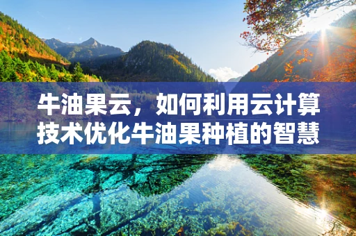 牛油果云，如何利用云计算技术优化牛油果种植的智慧农业解决方案？