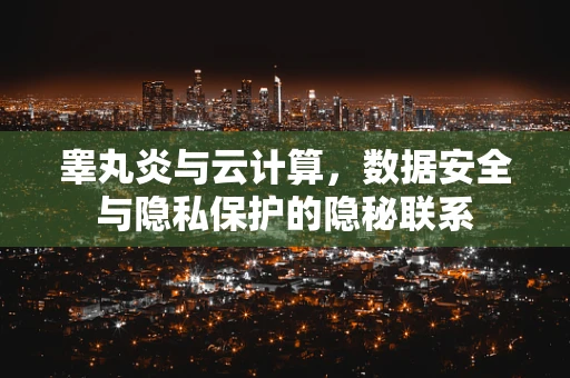 睾丸炎与云计算，数据安全与隐私保护的隐秘联系