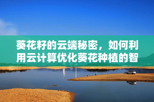 葵花籽的云端秘密，如何利用云计算优化葵花种植的智慧农业方案？