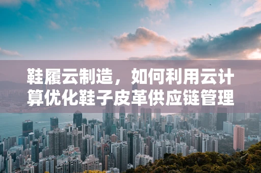 鞋履云制造，如何利用云计算优化鞋子皮革供应链管理？