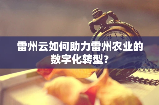雷州云如何助力雷州农业的数字化转型？