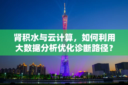 肾积水与云计算，如何利用大数据分析优化诊断路径？