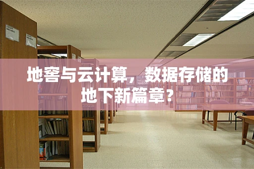地窖与云计算，数据存储的地下新篇章？
