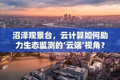 沼泽观景台，云计算如何助力生态监测的‘云端’视角？