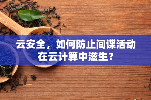 云安全，如何防止间谍活动在云计算中滋生？