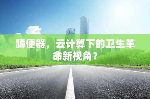 蹲便器，云计算下的卫生革命新视角？