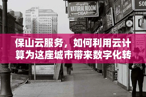 保山云服务，如何利用云计算为这座城市带来数字化转型的‘新风’？