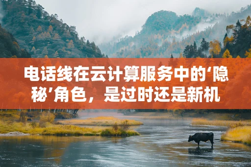 电话线在云计算服务中的‘隐秘’角色，是过时还是新机遇的起点？
