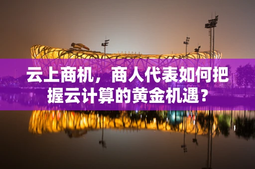 云上商机，商人代表如何把握云计算的黄金机遇？