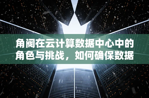 角阀在云计算数据中心中的角色与挑战，如何确保数据流动的精准控制？