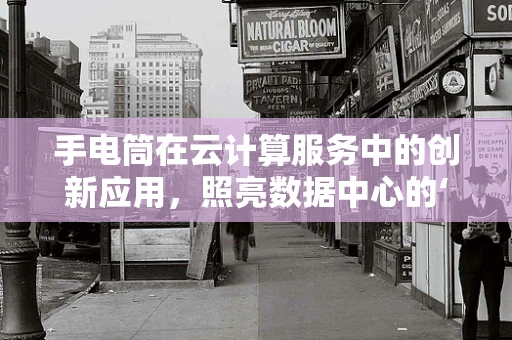 手电筒在云计算服务中的创新应用，照亮数据中心的‘暗区’？