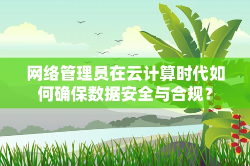 网络管理员在云计算时代如何确保数据安全与合规？