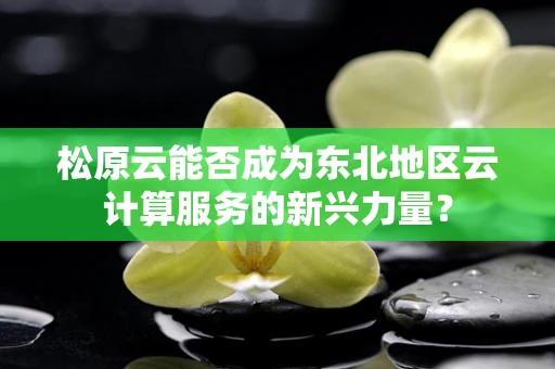 松原云能否成为东北地区云计算服务的新兴力量？