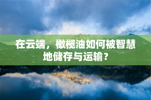 在云端，橄榄油如何被智慧地储存与运输？