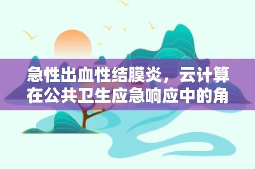 急性出血性结膜炎，云计算在公共卫生应急响应中的角色