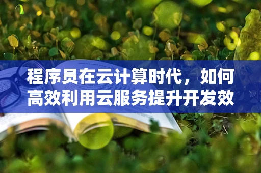 程序员在云计算时代，如何高效利用云服务提升开发效率？