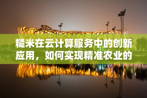 糙米在云计算服务中的创新应用，如何实现精准农业的智慧化？