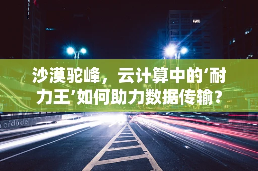 沙漠驼峰，云计算中的‘耐力王’如何助力数据传输？