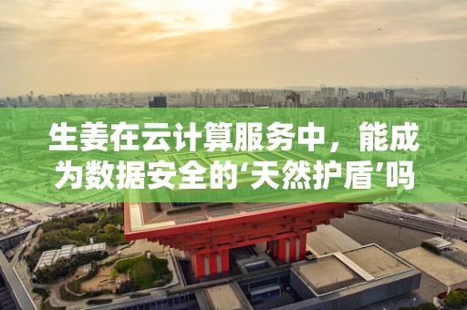生姜在云计算服务中，能成为数据安全的‘天然护盾’吗？