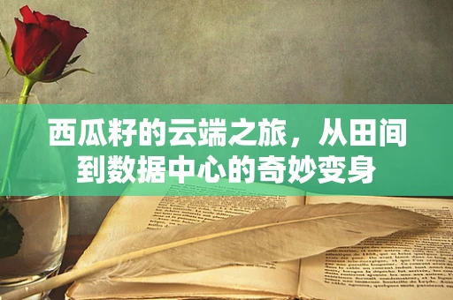 西瓜籽的云端之旅，从田间到数据中心的奇妙变身