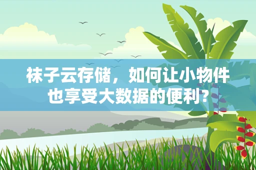 袜子云存储，如何让小物件也享受大数据的便利？