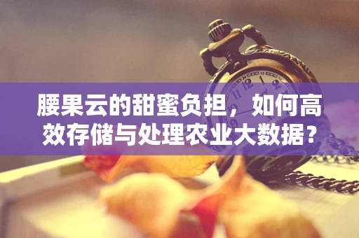 腰果云的甜蜜负担，如何高效存储与处理农业大数据？