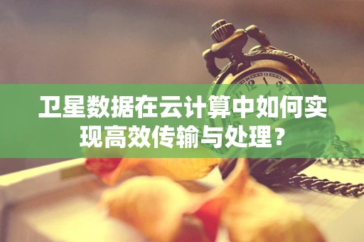 卫星数据在云计算中如何实现高效传输与处理？