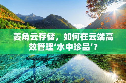 菱角云存储，如何在云端高效管理‘水中珍品’？