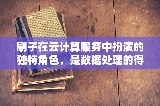 刷子在云计算服务中扮演的独特角色，是数据处理的得力助手还是安全防护的隐形卫士？