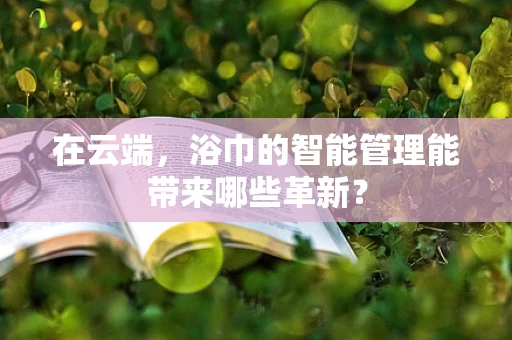 在云端，浴巾的智能管理能带来哪些革新？