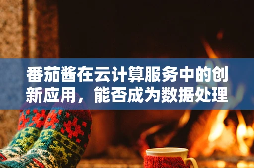 番茄酱在云计算服务中的创新应用，能否成为数据处理的‘美味调料’？