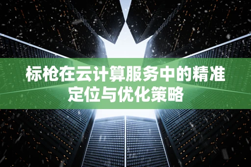 标枪在云计算服务中的精准定位与优化策略