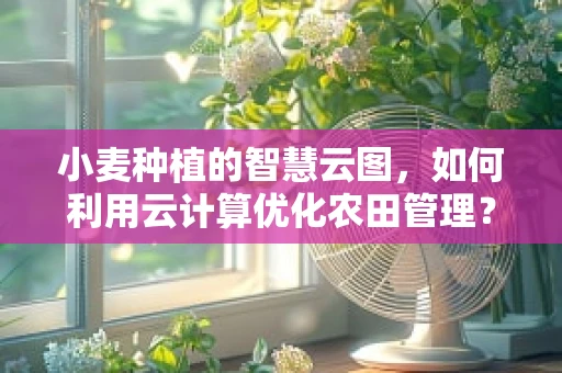 小麦种植的智慧云图，如何利用云计算优化农田管理？