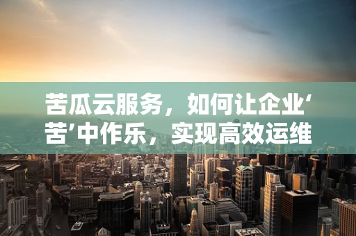 苦瓜云服务，如何让企业‘苦’中作乐，实现高效运维？