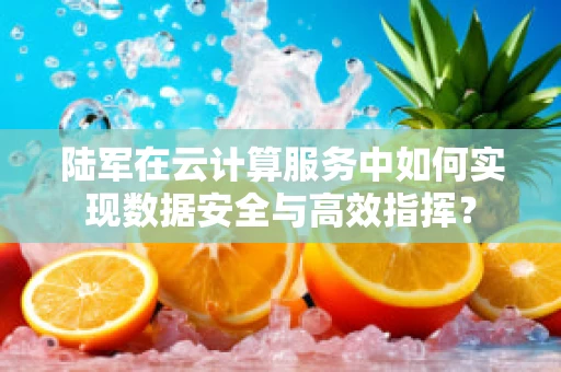陆军在云计算服务中如何实现数据安全与高效指挥？