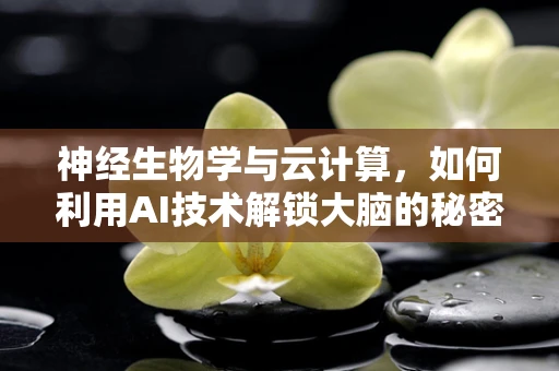 神经生物学与云计算，如何利用AI技术解锁大脑的秘密？