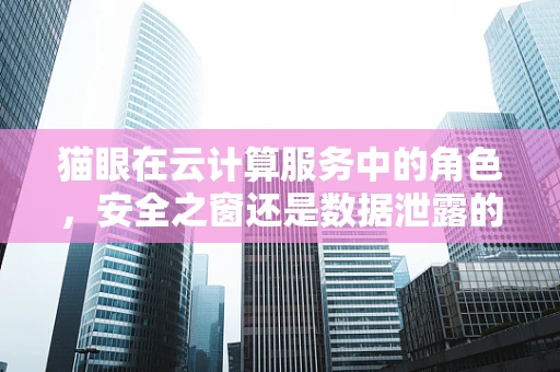 猫眼在云计算服务中的角色，安全之窗还是数据泄露的门户？