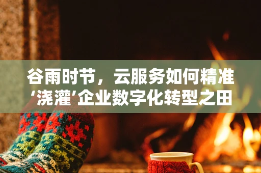谷雨时节，云服务如何精准‘浇灌’企业数字化转型之田？