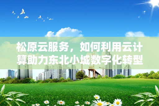 松原云服务，如何利用云计算助力东北小城数字化转型？
