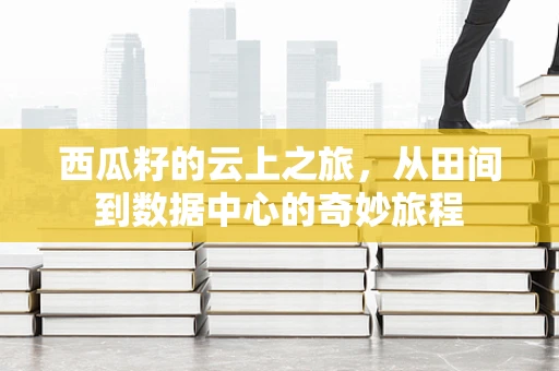 西瓜籽的云上之旅，从田间到数据中心的奇妙旅程