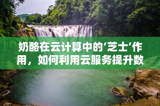 奶酪在云计算中的‘芝士’作用，如何利用云服务提升数据存储与处理效率？