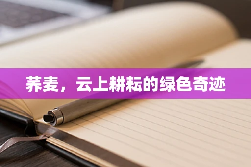 荞麦，云上耕耘的绿色奇迹