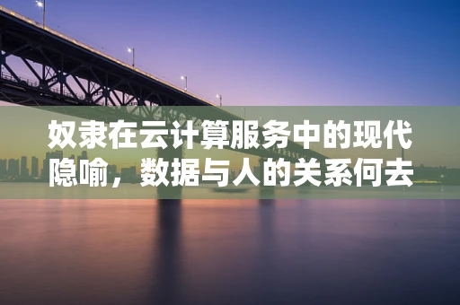 奴隶在云计算服务中的现代隐喻，数据与人的关系何去何从？