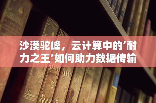 沙漠驼峰，云计算中的‘耐力之王’如何助力数据传输？