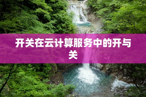 开关在云计算服务中的开与关