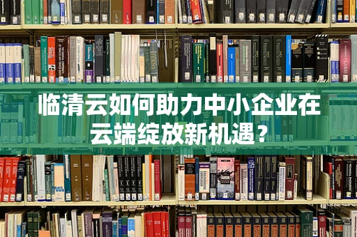 临清云如何助力中小企业在云端绽放新机遇？