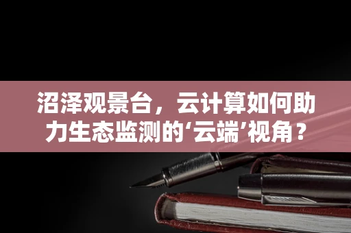 沼泽观景台，云计算如何助力生态监测的‘云端’视角？