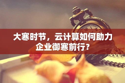 大寒时节，云计算如何助力企业御寒前行？
