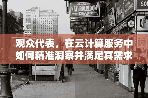 观众代表，在云计算服务中如何精准洞察并满足其需求？