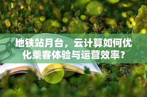 地铁站月台，云计算如何优化乘客体验与运营效率？